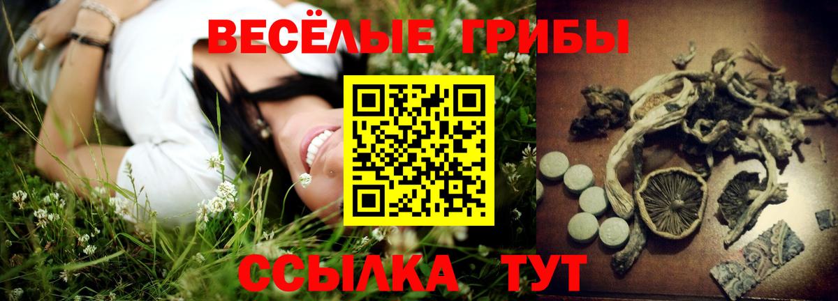 Галлюциногенные грибы мухоморы  Вход с VPN  Камышин 