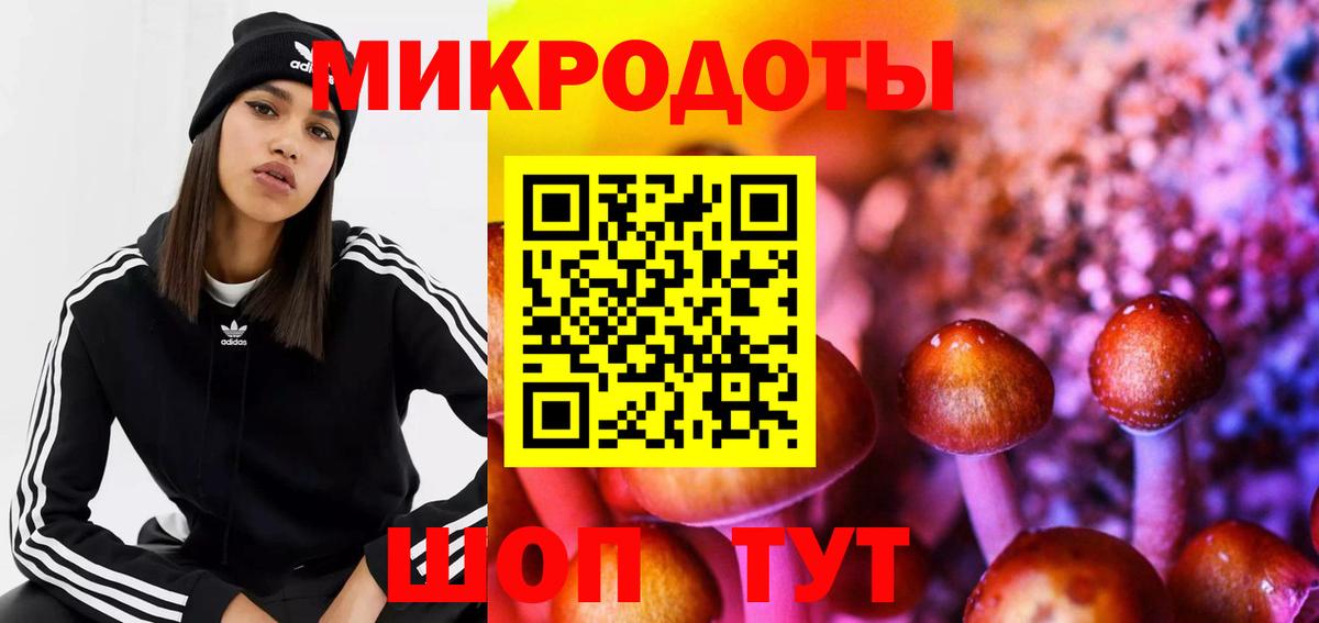 Галлюциногенные грибы Psilocybe Камышин